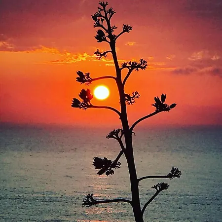 Maison d'hôtes Arthouse Surf *