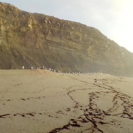 招待所 Arthouse Surf *