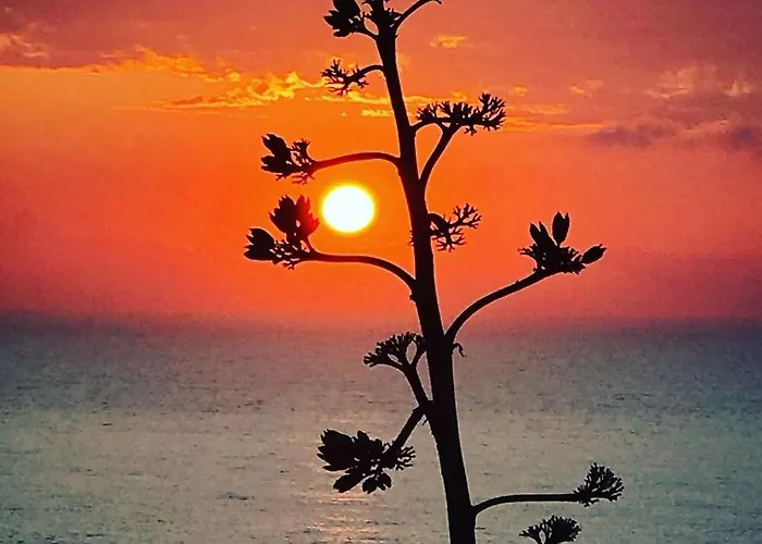 招待所 Arthouse Surf *