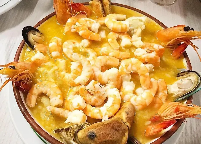 Arthouse Surf 埃里塞拉