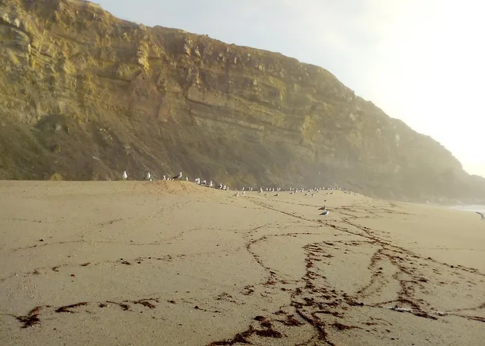 招待所 Arthouse Surf *