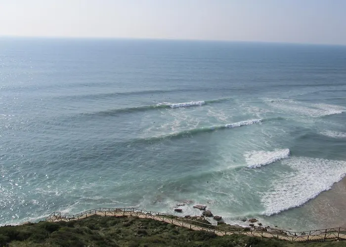 Arthouse Surf 埃里塞拉