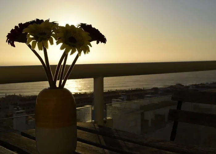 Arthouse Surf 埃里塞拉